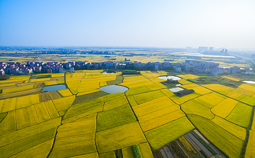 智慧灌区信息化监控管理系统