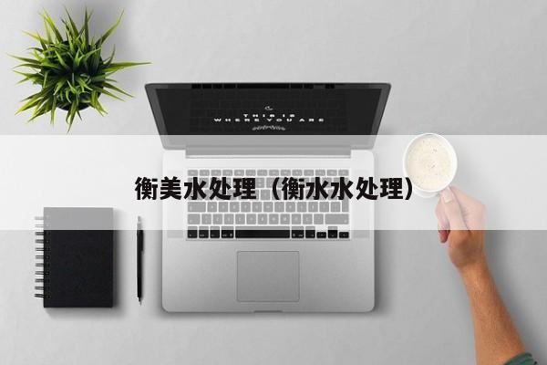 衡美水处理（衡水水处理）