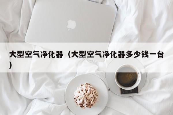 大型空气净化器（大型空气净化器多少钱一台）