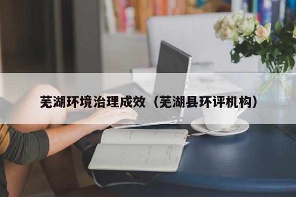 芜湖环境治理成效（芜湖县环评机构）