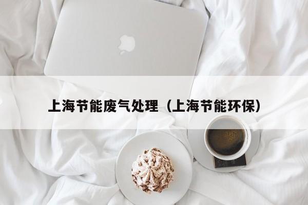 上海节能废气处理（上海节能环保）
