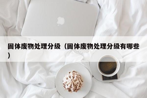 固体废物处理分级（固体废物处理分级有哪些）